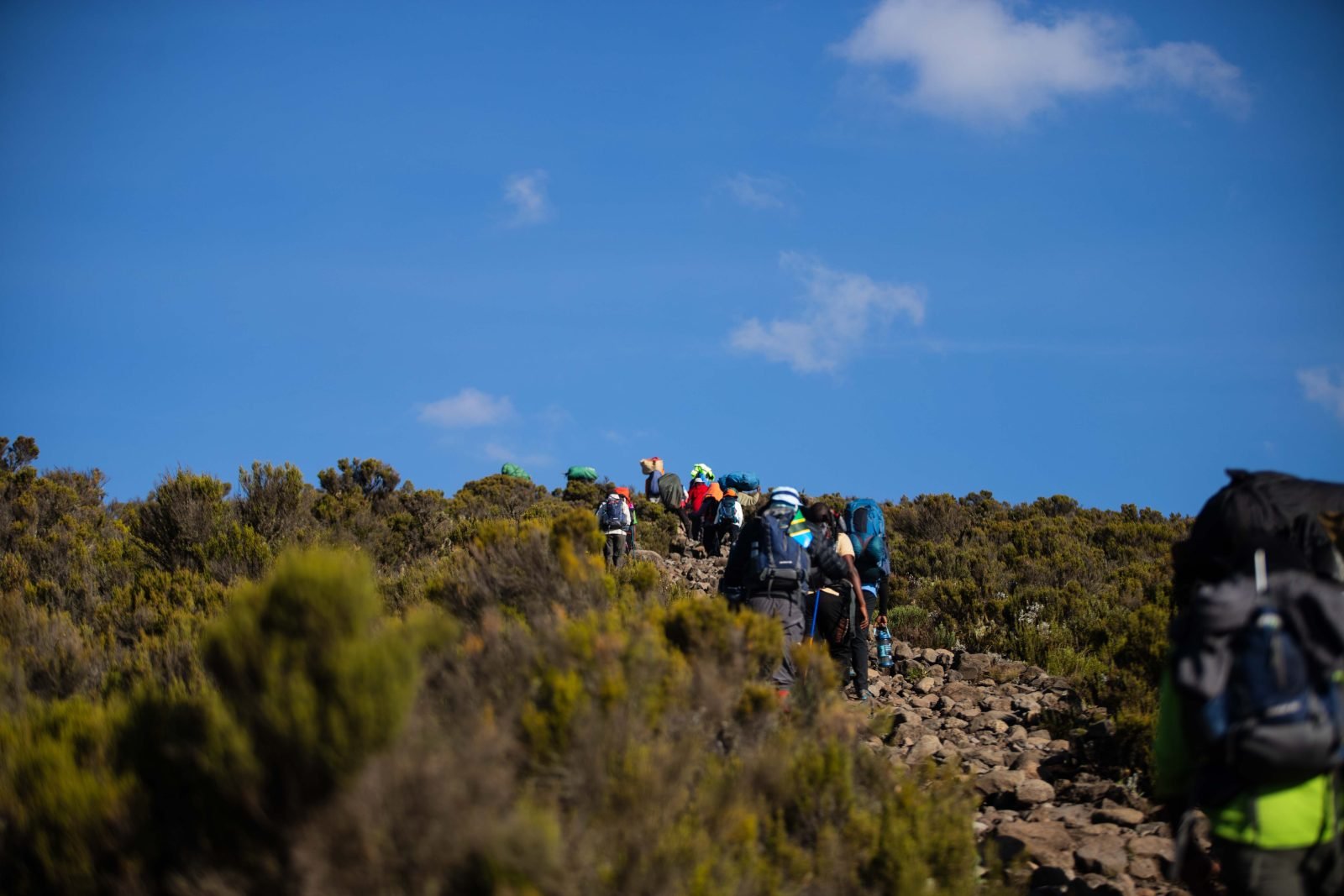 Valour Africa Safaris and Treks cover image