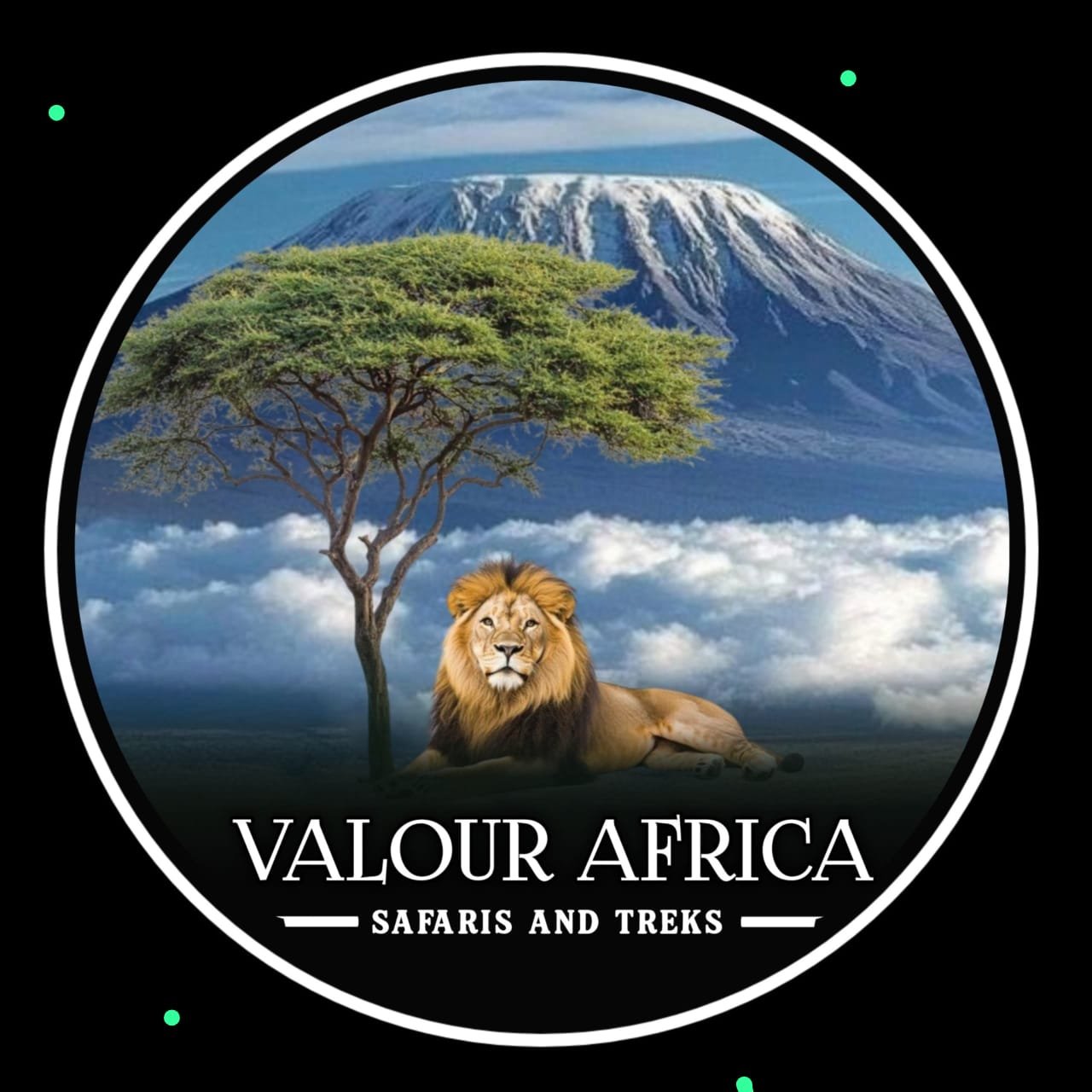 Valour Africa Safaris and Treks logo