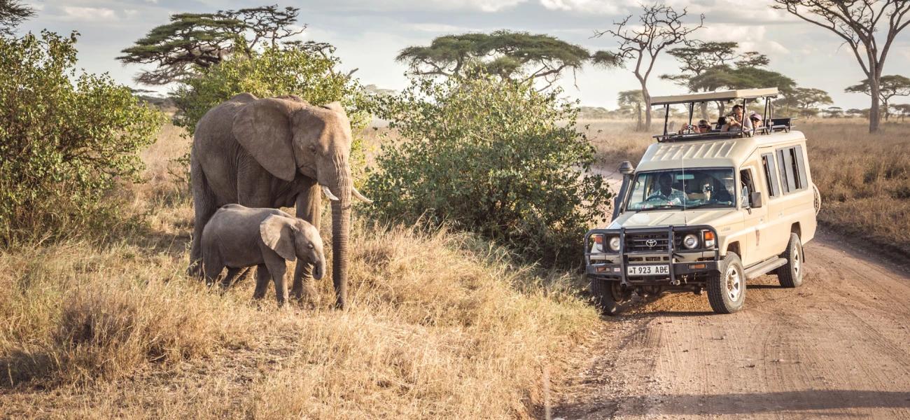 View Tanzania Adventures cover image