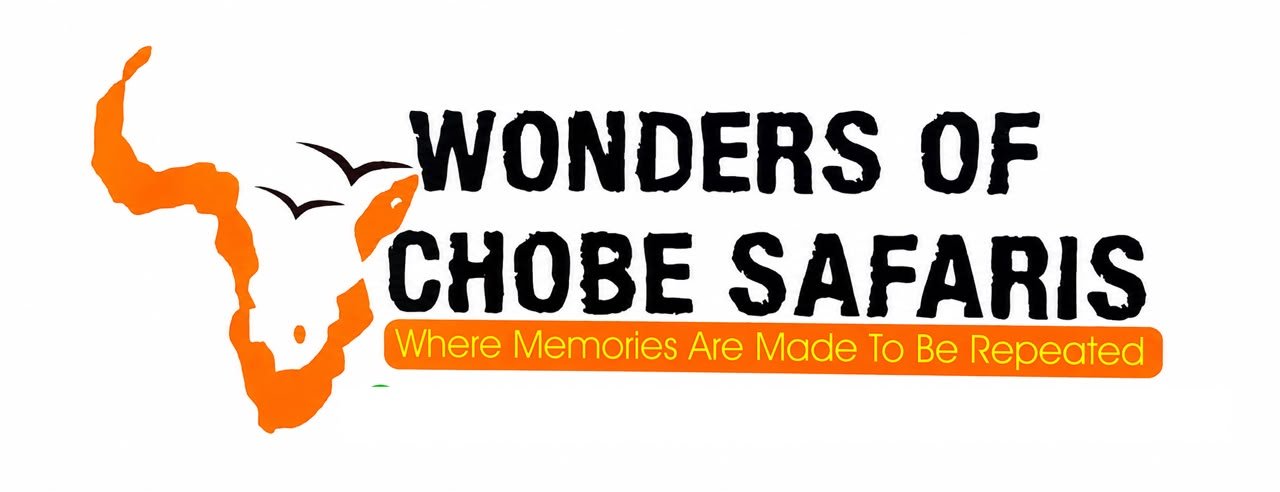 Wonders of Chobe Safaris logo