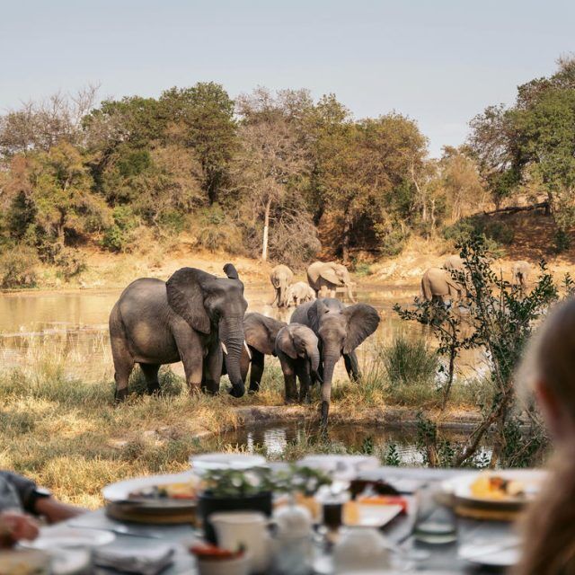 10-Day Wildlife Safari and Zanzibar Beach Holiday gallery image