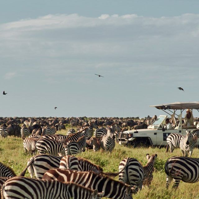 10-Day Wildlife Safari and Zanzibar Beach Holiday gallery image
