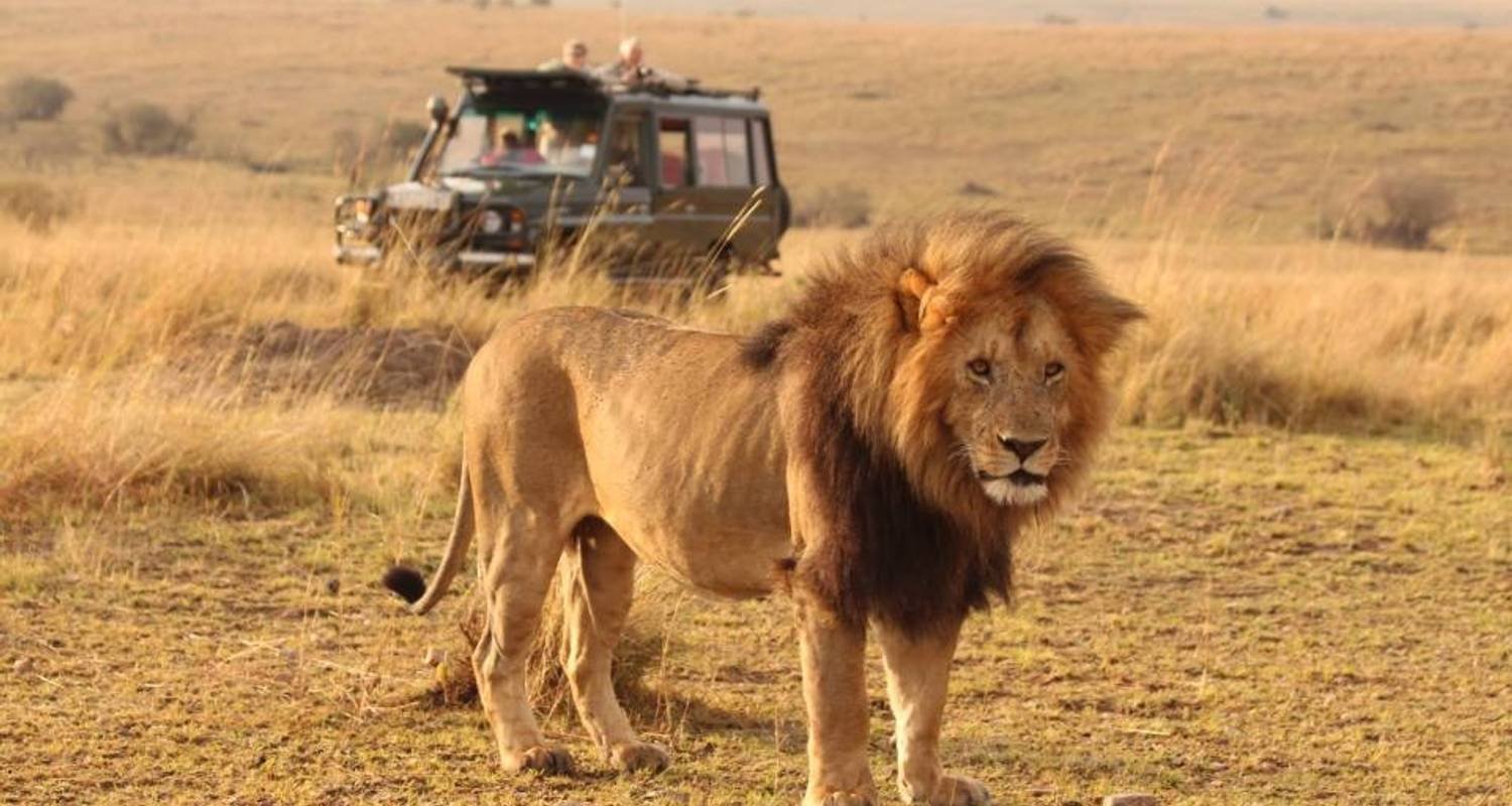 Le Kobe Adventures & Safaris