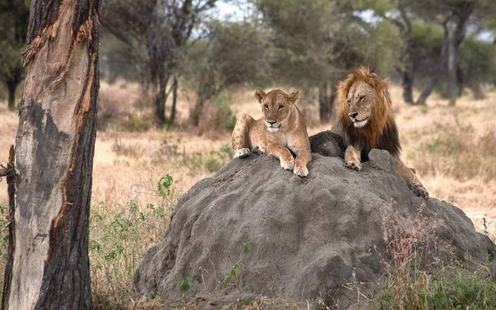 Tour Gallery Image 4