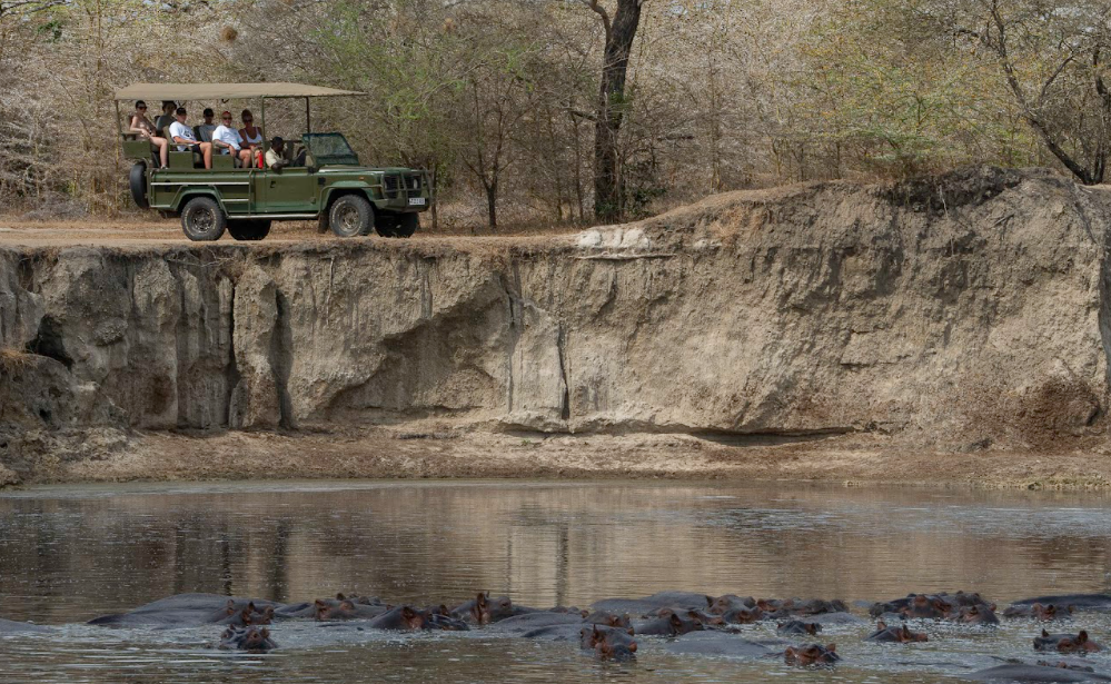 2-Day Amazing Luxury Safari Inside Nyerere NP (Selous)