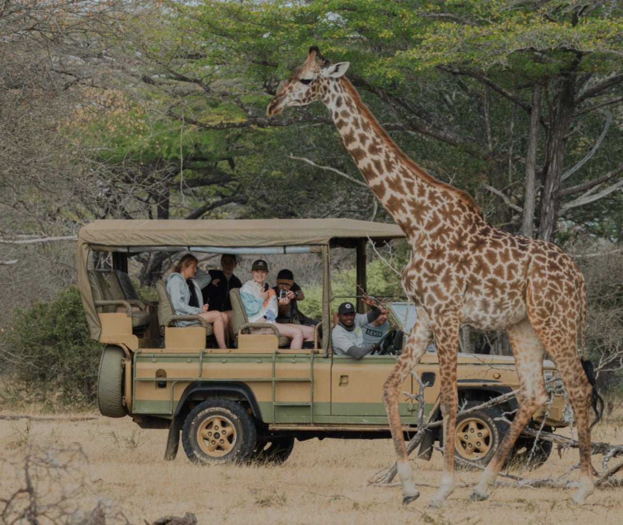 Uwanda Tours And Safaris