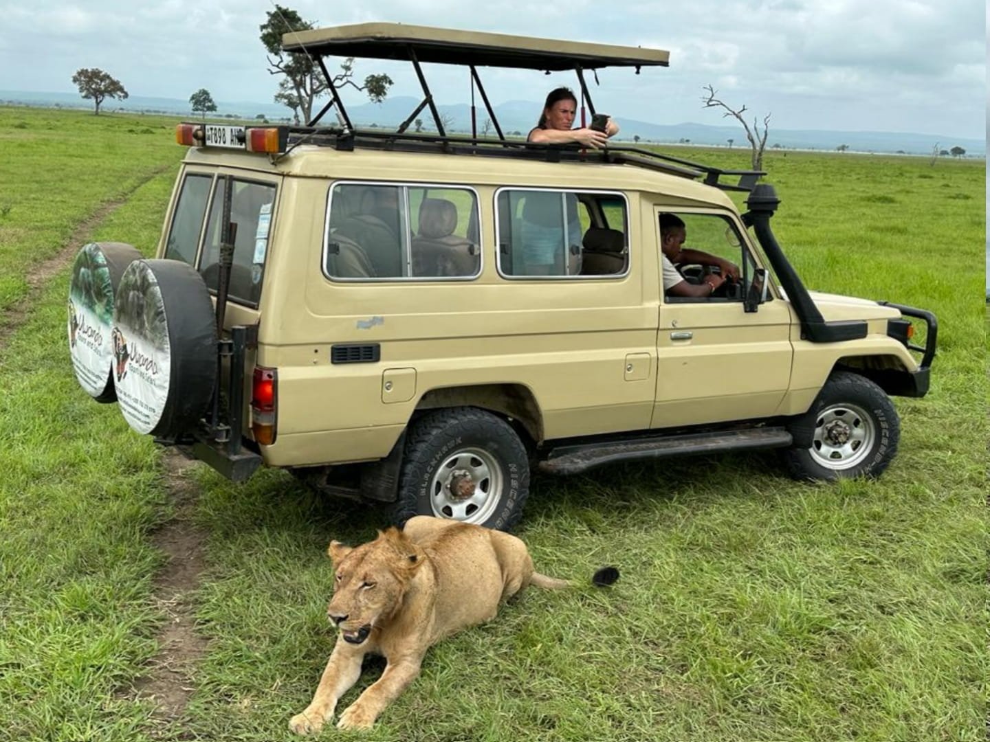 Safari Vendors