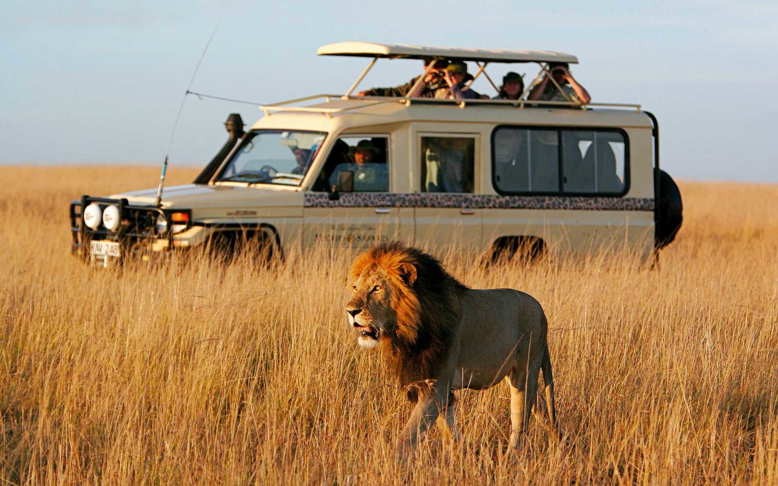 Le Kobe Adventures & Safaris