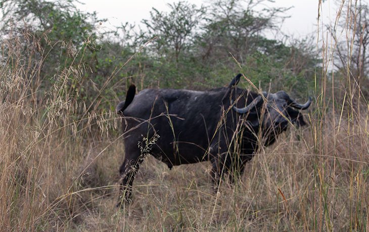 Tour Gallery Image 4