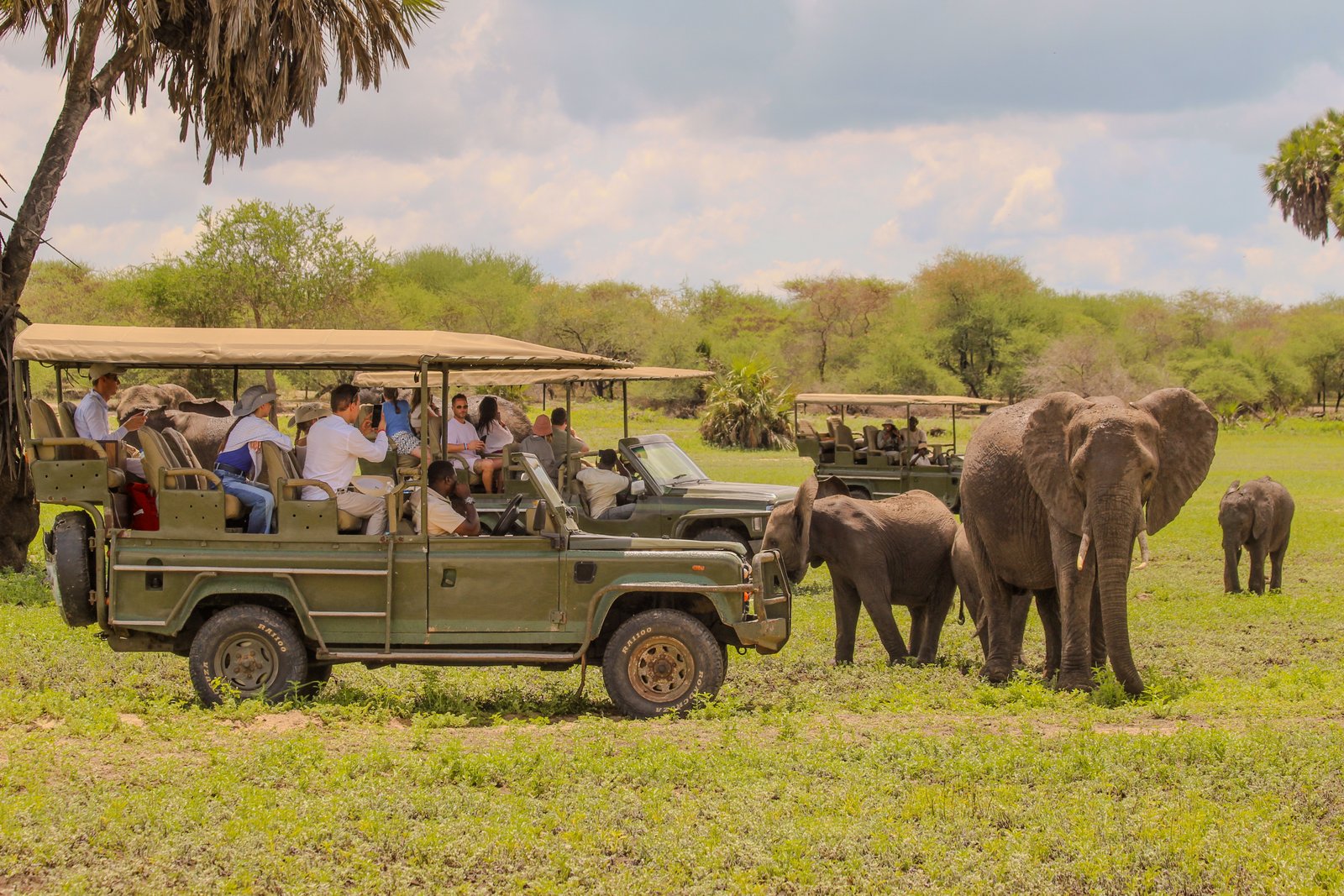 Safari Vendors