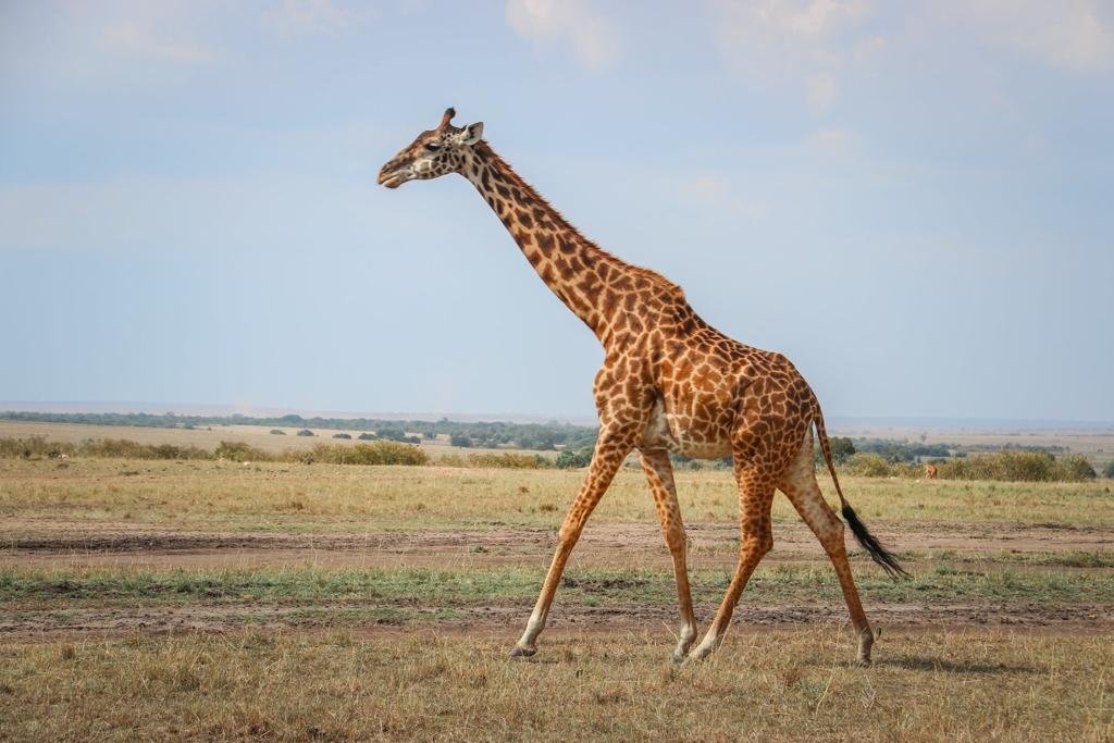Golden Trips Tanzania