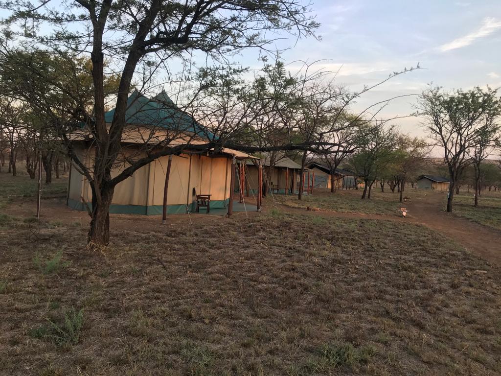 3-Day Best Tarangire, Ngorongoro & Manyara Trip gallery image