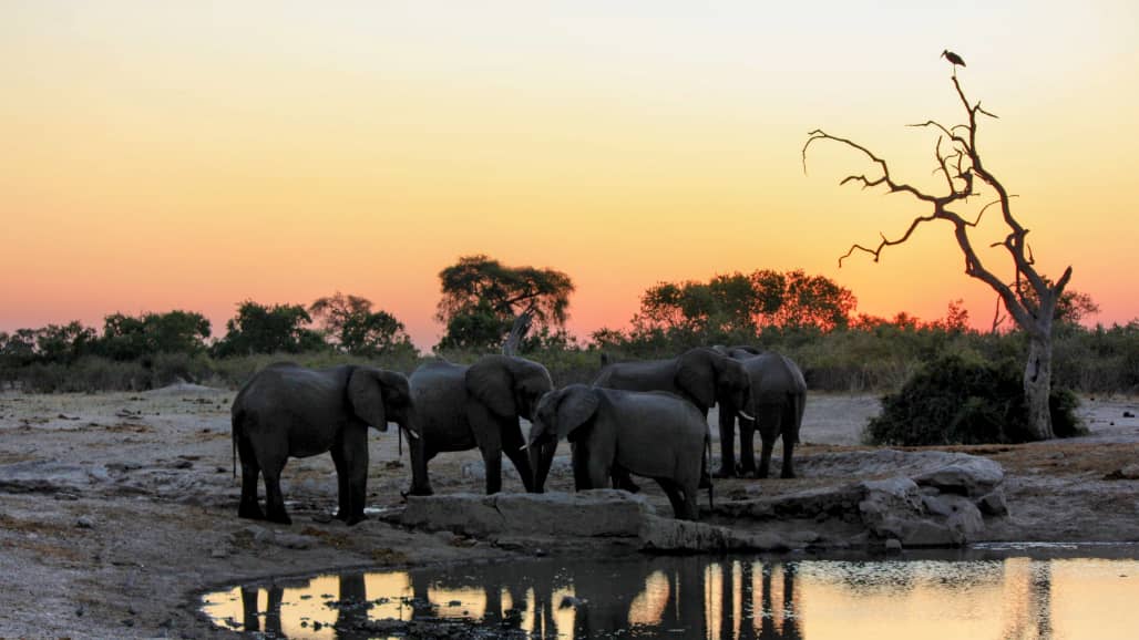 3-Day Camping Safari in Khwai Concession, Botswana gallery image
