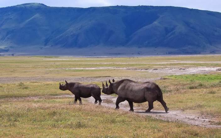 3-Day Central Serengeti & Ngorongoro Camping Safari gallery image