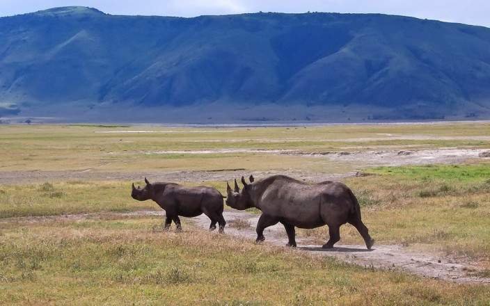 Golden Trips Tanzania