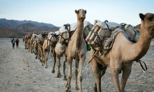 3-Day Danakil Explorer: Volcanoes & Salt Flats gallery image