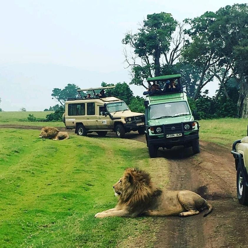 3-Day Fly- in Safari Serengeti, Ngorongoro & Tarangire gallery image