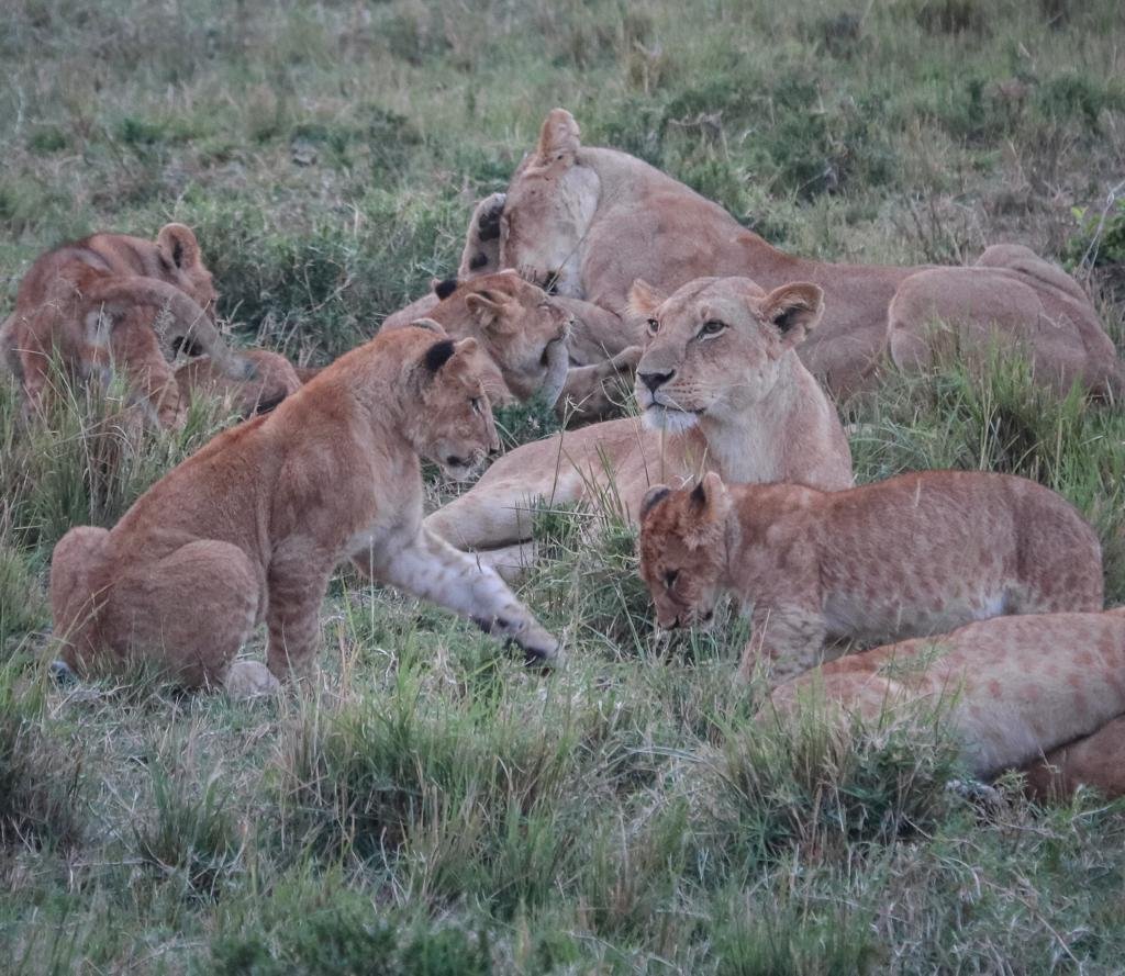 Golden Trips Tanzania