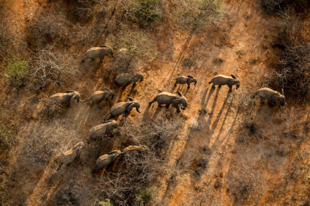 Le Kobe Adventures & Safaris