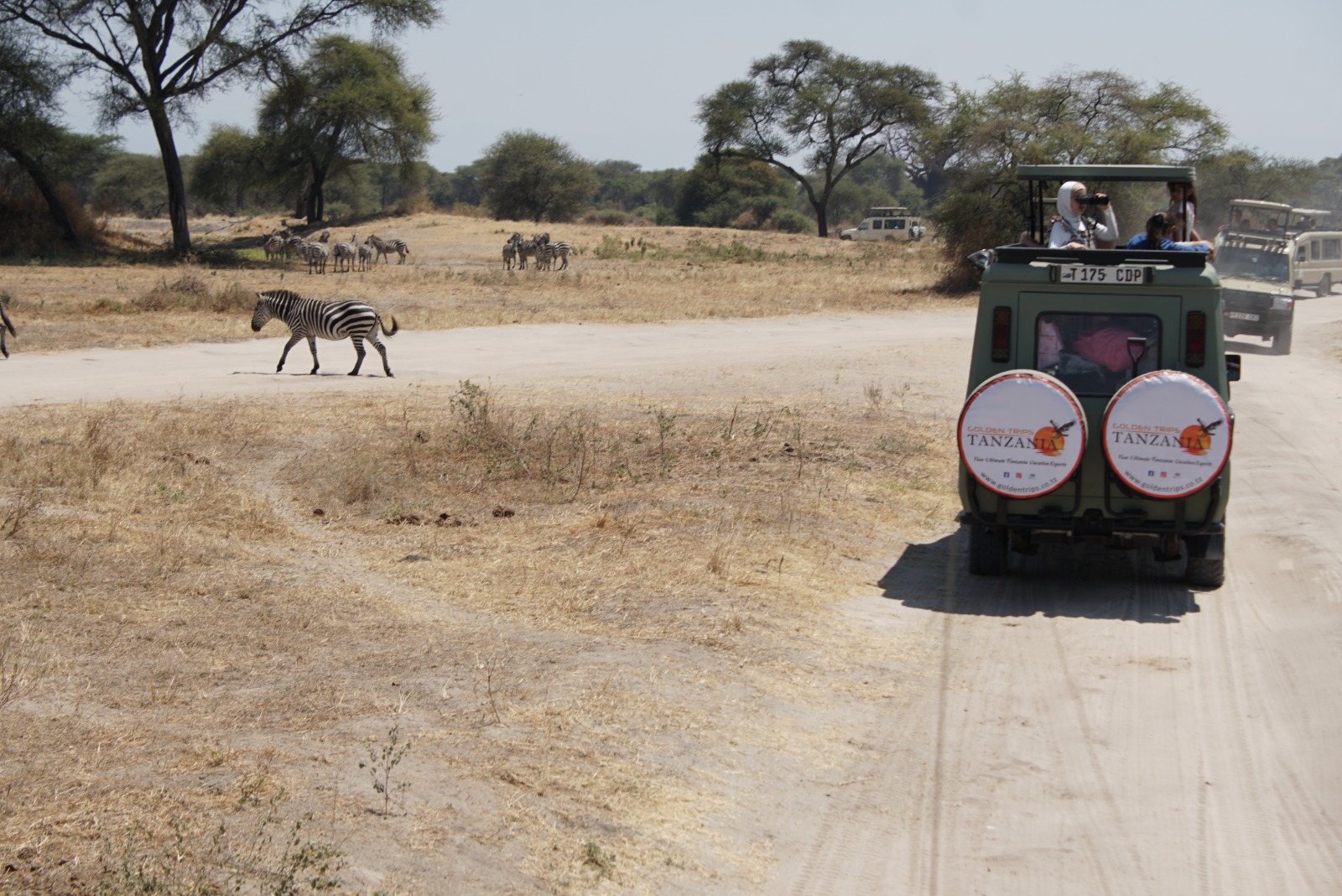 3-Day Nature & Cultural Mikumi Group Safari