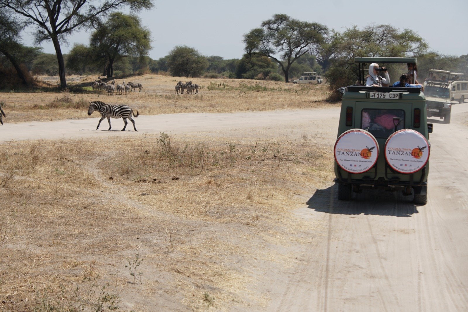 Safari Vendors