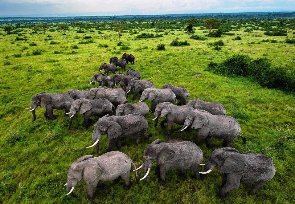 Henry Tours And Safaris Ltd