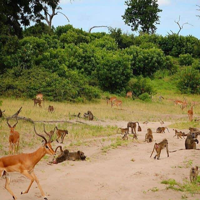 Golden Trips Tanzania