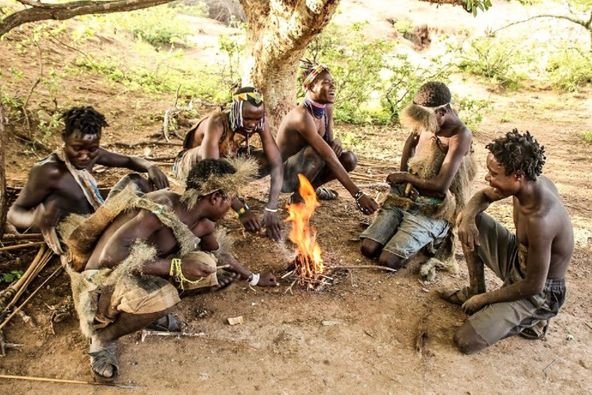 Safari Vendors