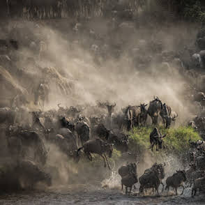 3-Day Zanzibar to Migration Crossing Fly-in& out Safari gallery image