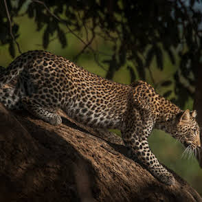 3-Day Zanzibar to Migration Crossing Fly-in& out Safari gallery image