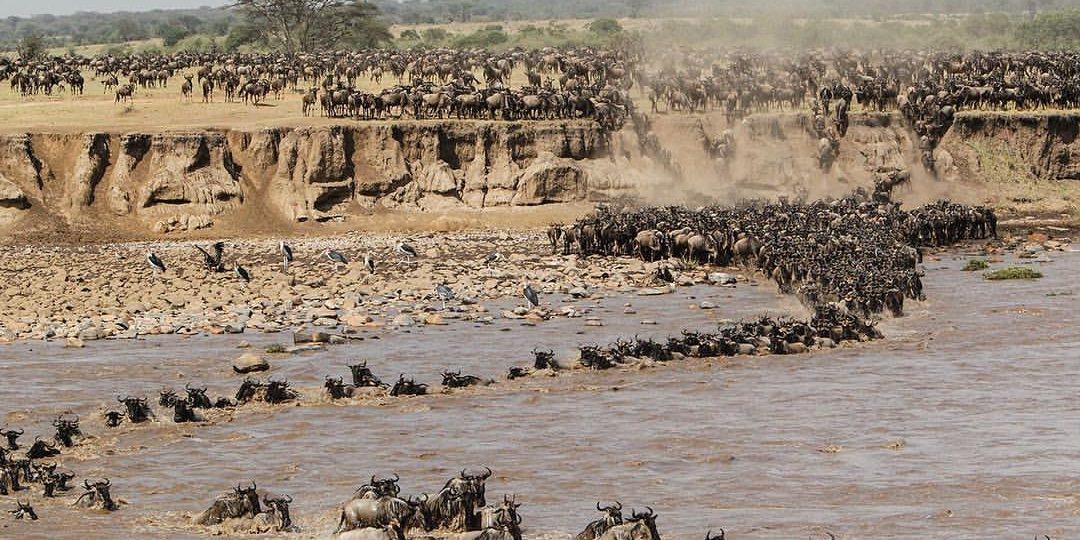 3-Day Zanzibar to Migration Crossing Fly-in& out Safari