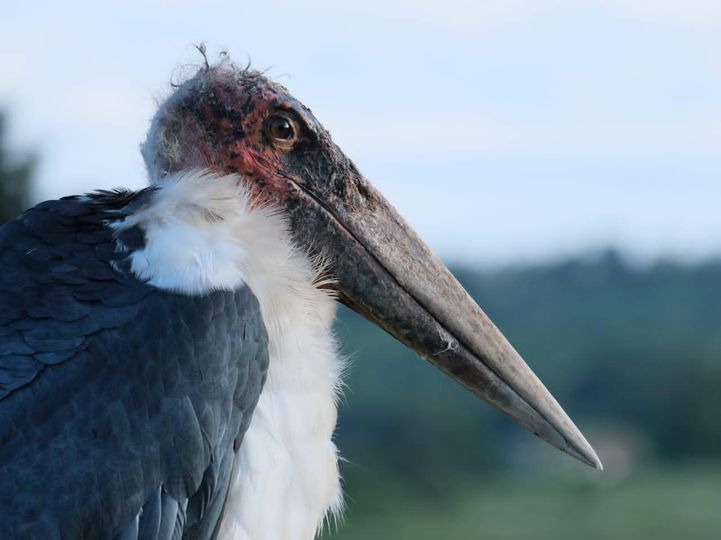 3-Day Zanzibar to Tarangire, Ngorongoro and Manyara gallery image