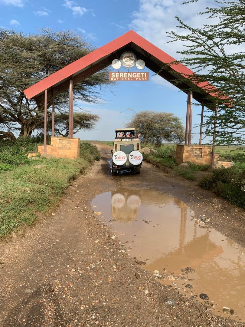 Safari Vendors