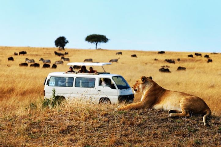 Johnbow Tours and Travel Ltd