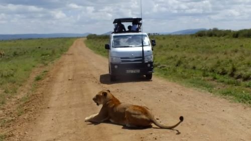 Johnbow Tours and Travel Ltd