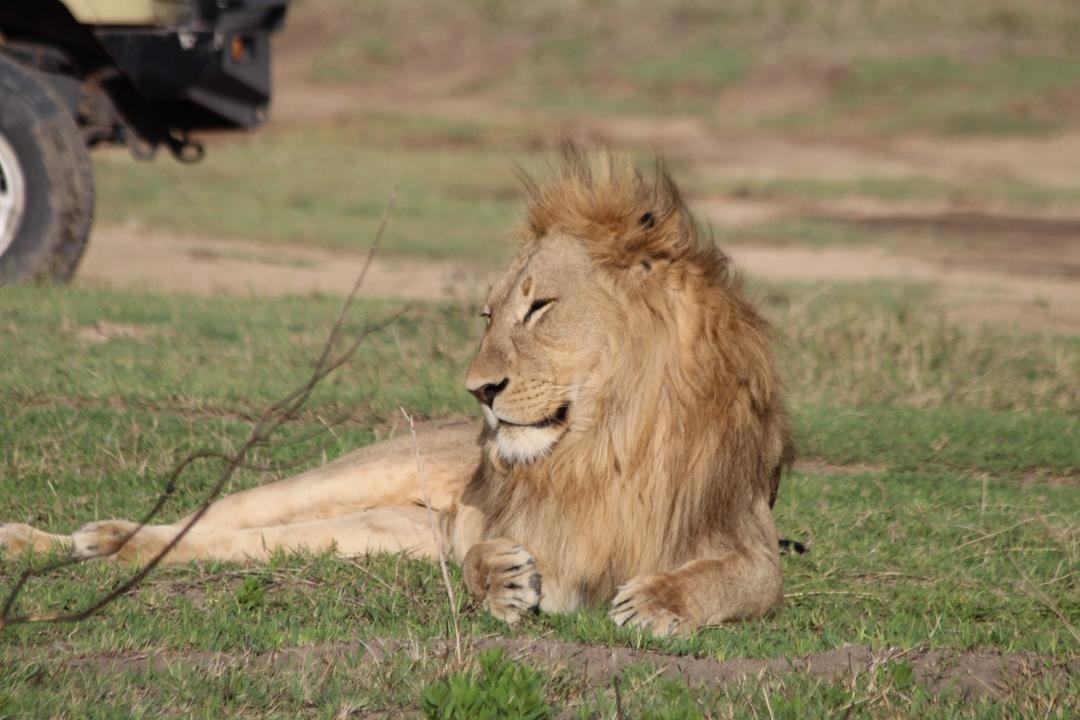 Tour Gallery Image 2