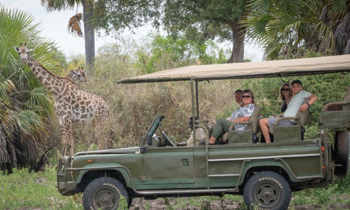 3-Day Safari Zanzibar to Nyerere NP + Night Game Drive gallery image