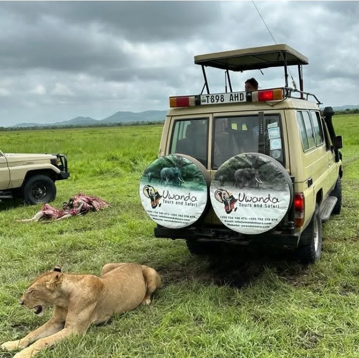 3-Day Selous Safari from Zanzibar by Boat, Car & Flight