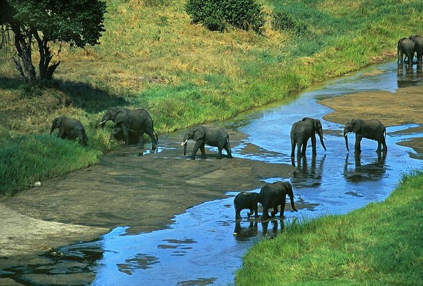 Tour Gallery Image 4