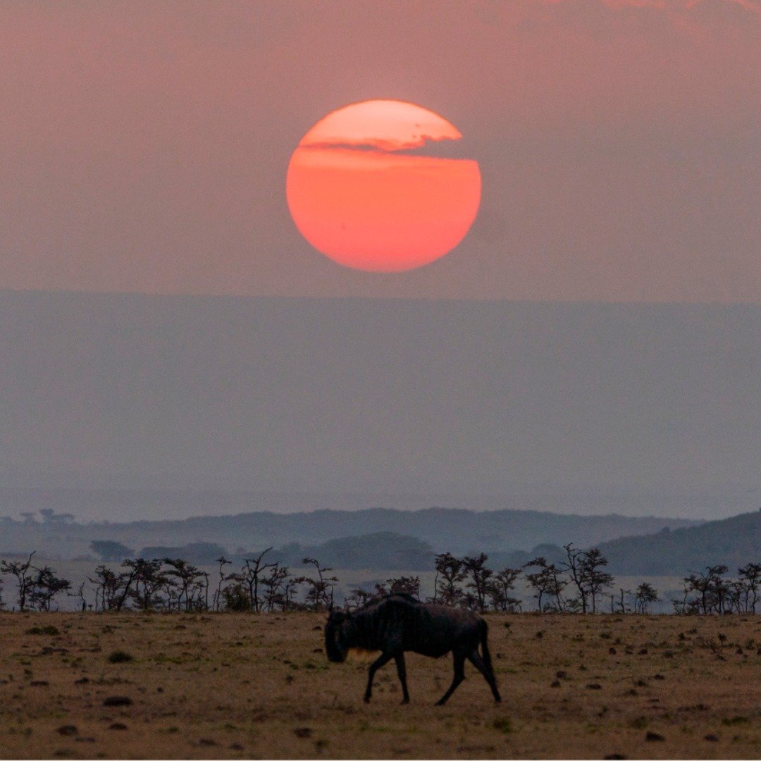 Smile With Us Tours In Africa