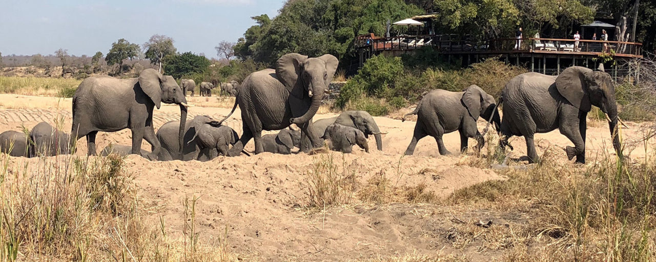 3-Day Safari to Tarangire, Lake Manyara and Ngorongoro gallery image