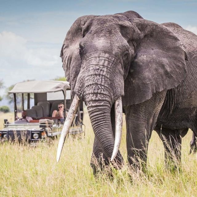 3-Day Safari to Tarangire, Lake Manyara and Ngorongoro safari tour