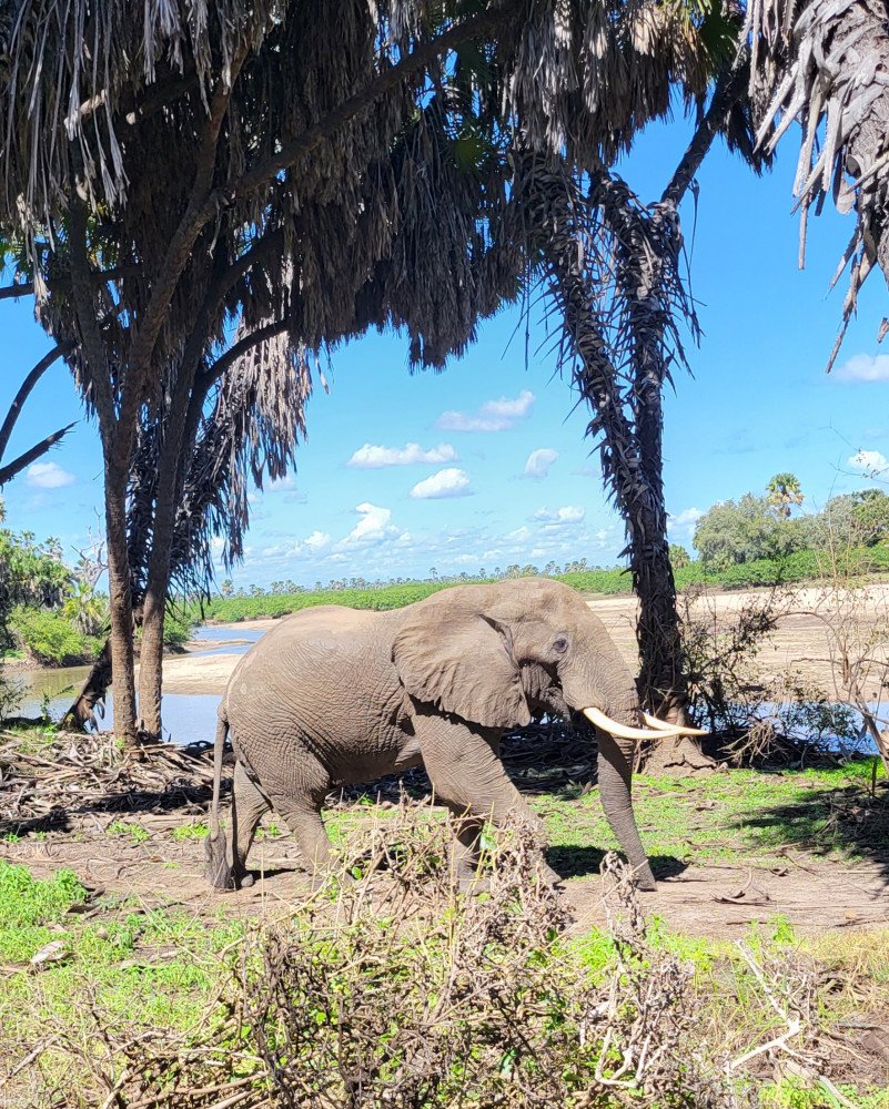 Smile With Us Tours In Africa