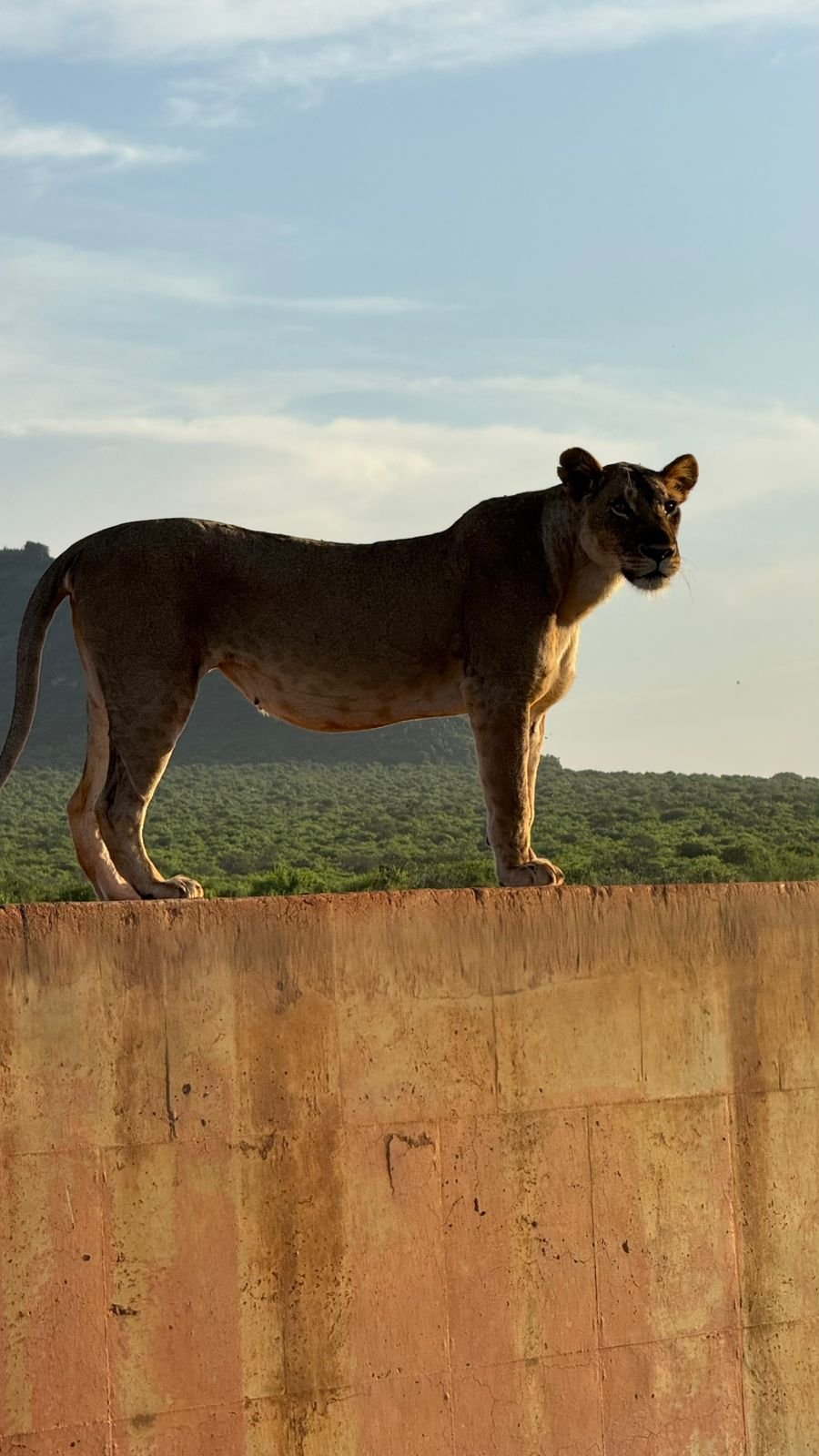 Tour Gallery Image 2