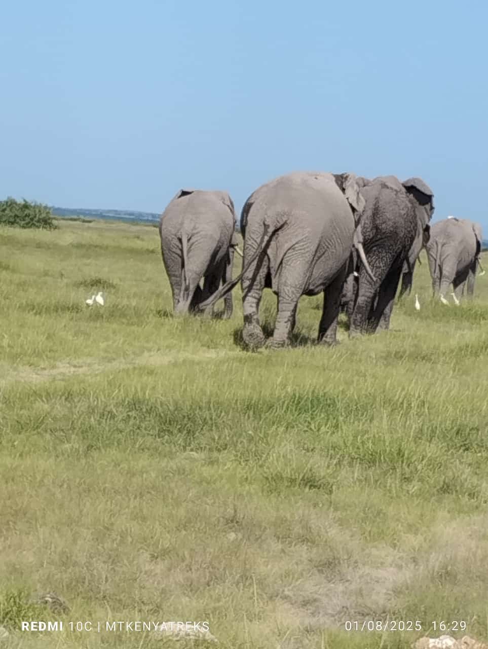 Tour Gallery Image 3