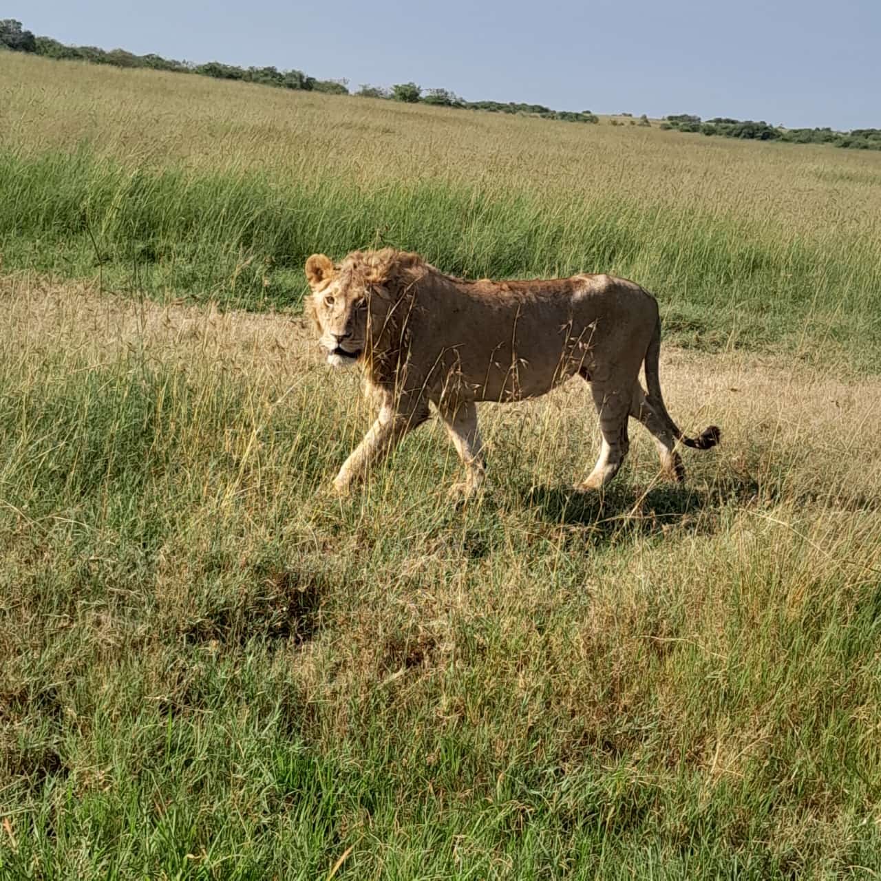 Tour Gallery Image 4