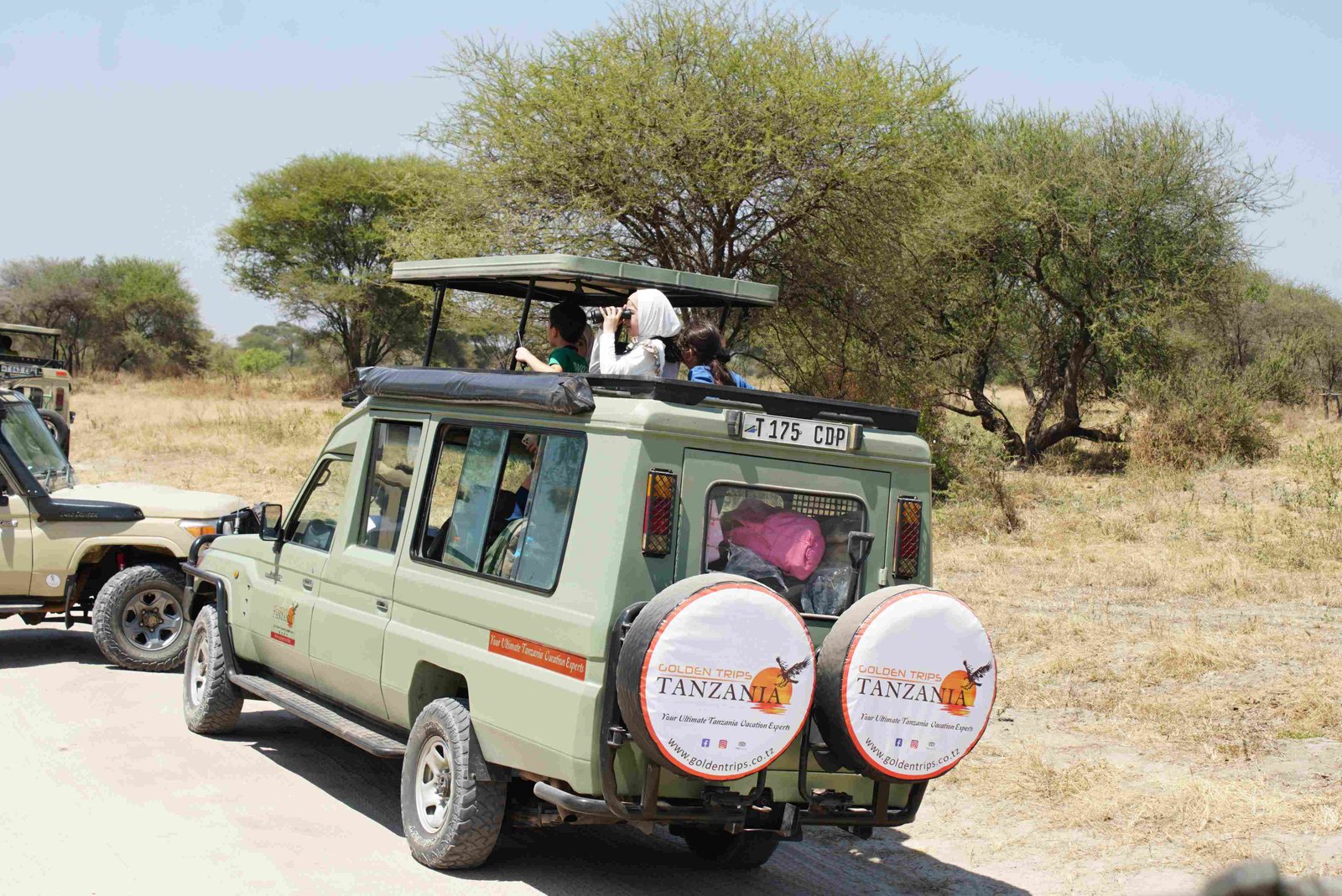 Safari Vendors