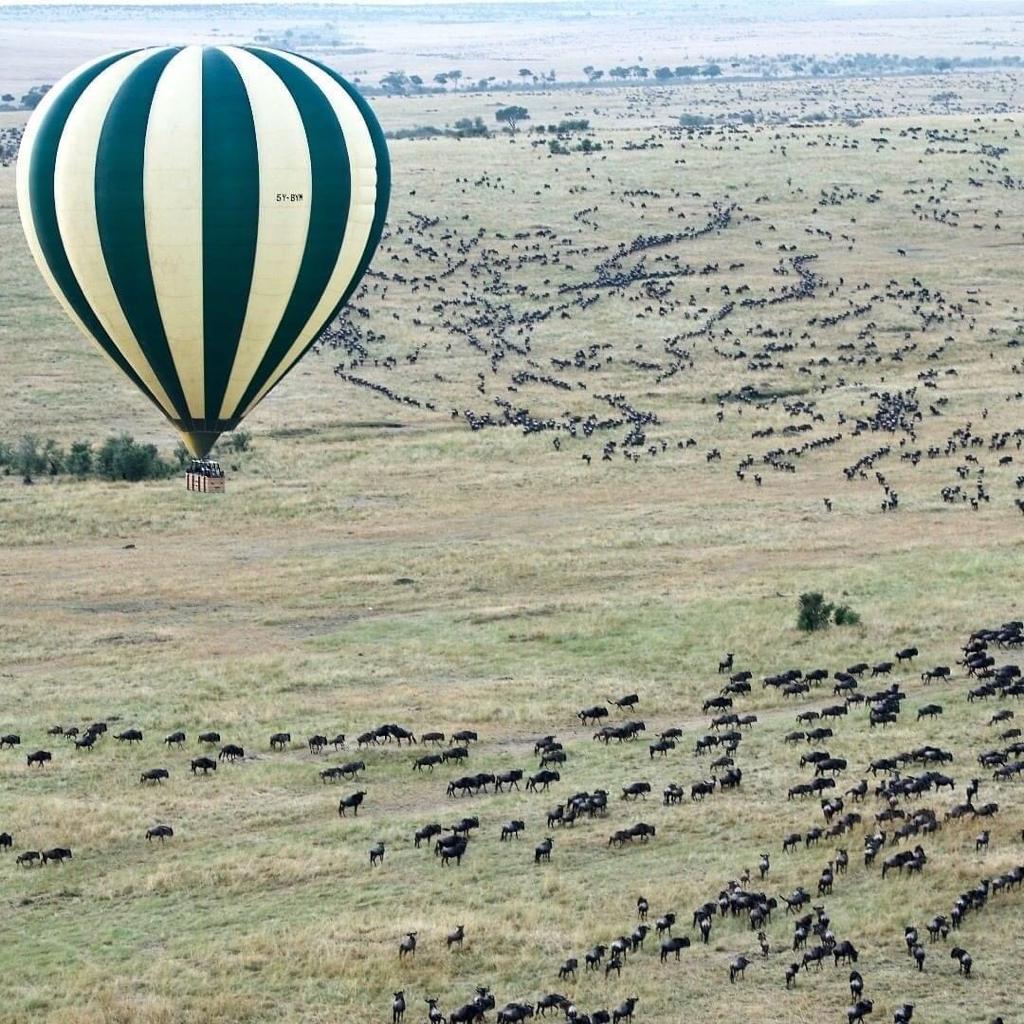 4-Day Unforgettable Safari to Tarangire, Serengeti gallery image