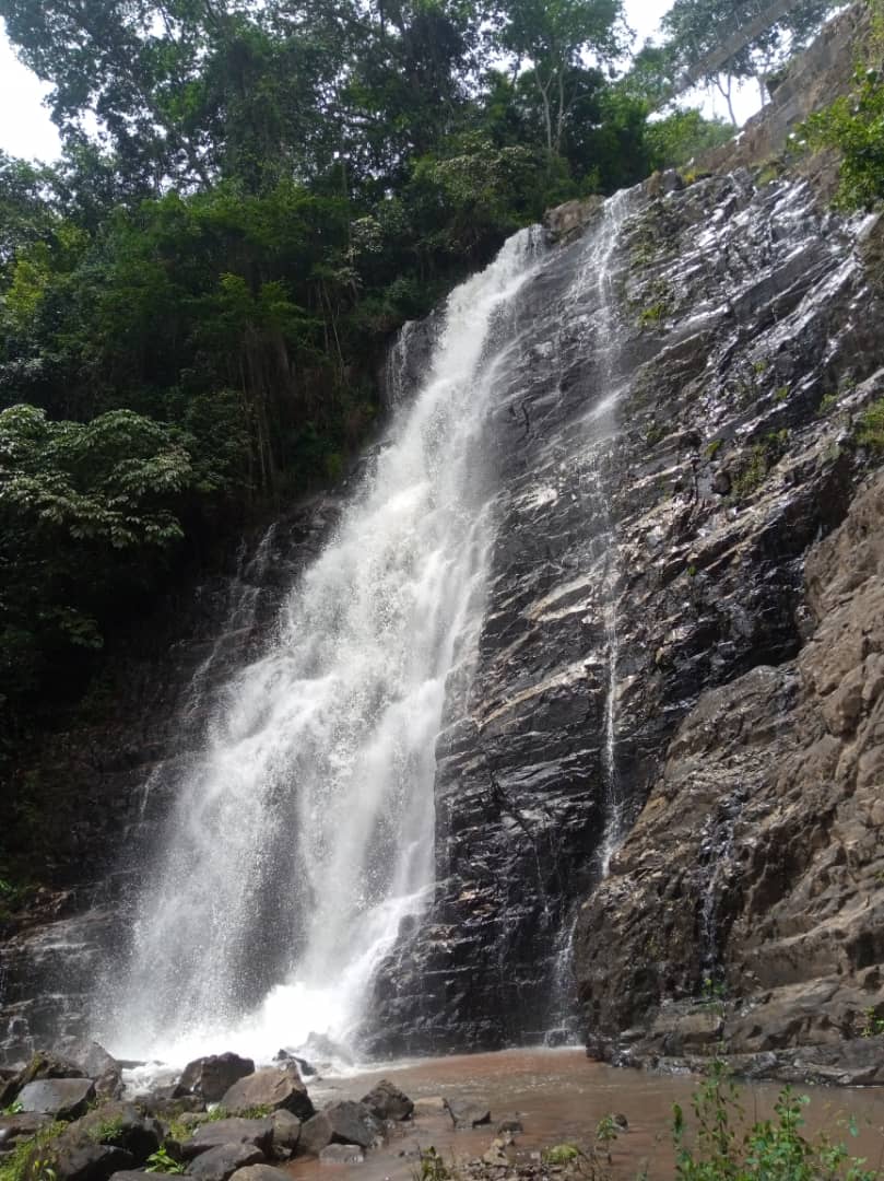 4-Day Chimpanzee Tracking, Karera Falls and City Tour gallery image