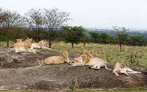 Smile With Us Tours In Africa